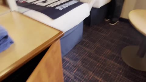 Carnival Conquest 6205 | Accessible Picture Window Cabin with Thoughtful Design