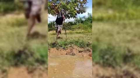 Try Not to Laugh Challenge - Funny Videos 2024 #2 #funny #funnyvideo