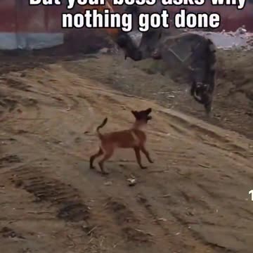 8 Hours and no work done