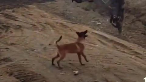 8 Hours and no work done