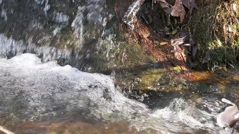 Bubbling Brook at Wedowee Gardens