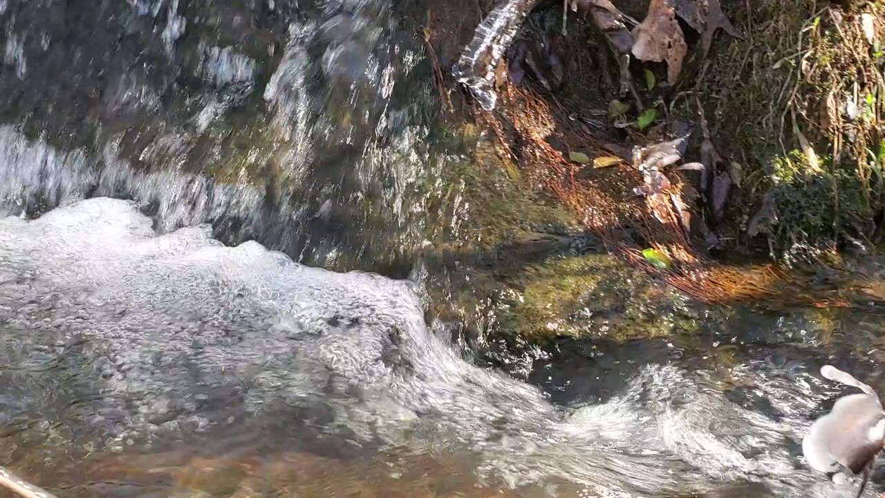 Bubbling Brook at Wedowee Gardens