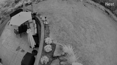😱🛸 Nest Cam Captures Unexplained Object in Massachusetts! | TheTruthAbove