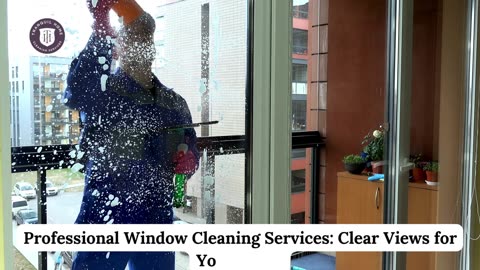 Professional Window Cleaning Services: Clear Views for Your Home