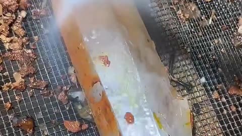 Finding a Foot Long Crystal! 😮 Another exciting and unexpected crystal