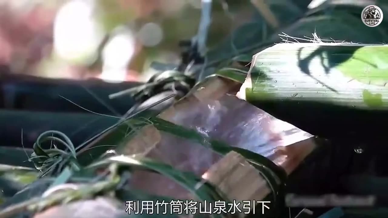 24 Hours Survival Work with Energetic Remix