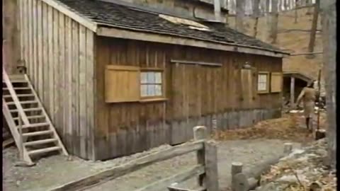 Commander USA's Groovie Movies: The Brood