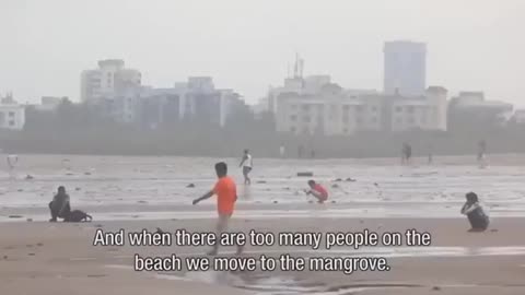 STREETSHITTER PAJEETS SHITTING ALL OVER AS USUAL LOL