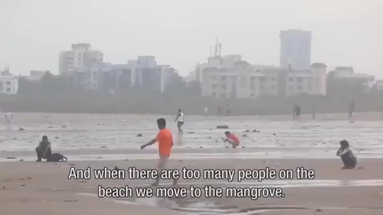 STREETSHITTER PAJEETS SHITTING ALL OVER AS USUAL LOL