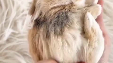 Woe Day 148. I am in the ark. Waiting for GOD to open the Door for a spring/summer Pentecost rapture