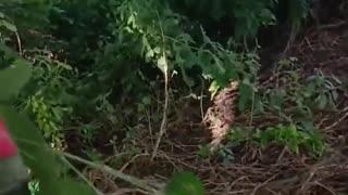 ⚔️🔥 Myanmar War | Joint Forces Attack Police Station in Tharsi | RCF