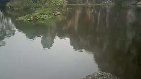 Relaxing fishing