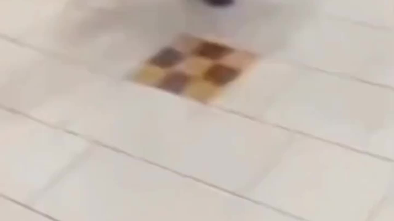 Shopping centre macheteing 💀