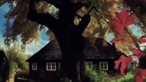 Quran Ayat Urdu Translation | Islamic Reminder