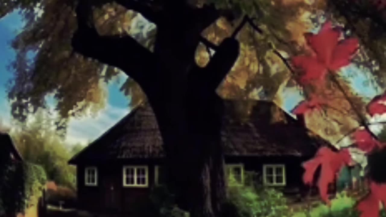 Quran Ayat Urdu Translation | Islamic Reminder