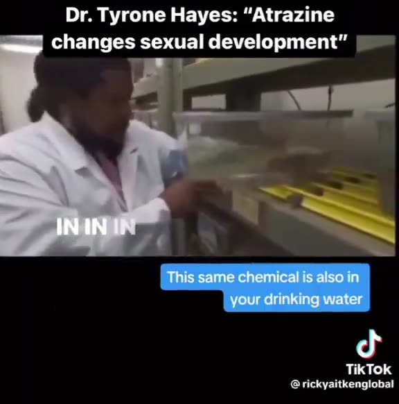ATRAZINE IS IN THE WATER AND YES IT TURNED THE FROGS GAY
