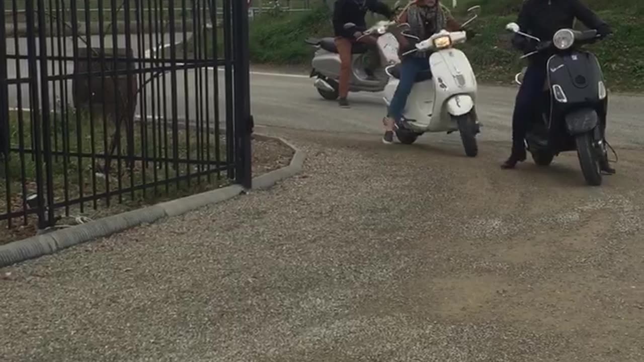 Vespa Crash in Tuscany
