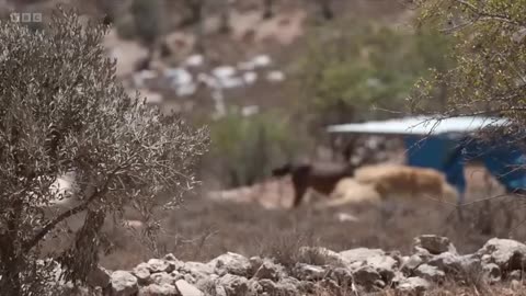 Israeli settlers ramp up their violent efforts to push