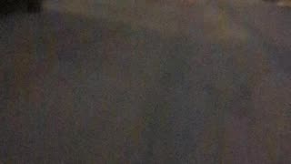 Poopyeti (January 2025)