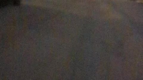 Poopyeti (January 2025)