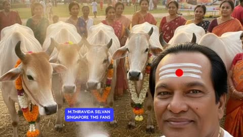 ONE SUN ONE TMS LEGEND M.THIRAVIDA SELVAN SINGAPORE TMS FANS 1026