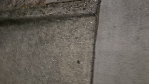 SEARCHING FOR 1 GOOD COP