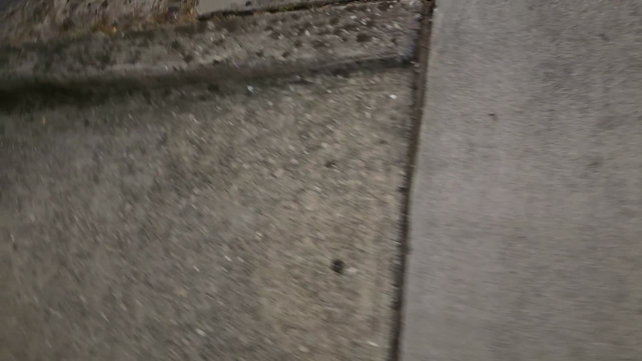 SEARCHING FOR 1 GOOD COP