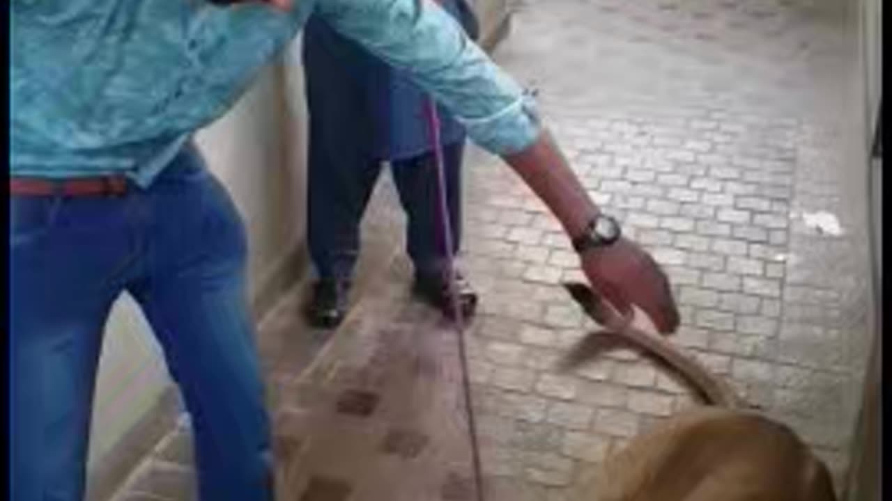 Loin attack