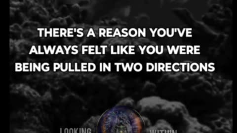 You were chosen. Your path planned.