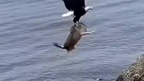 Don't mess with the kids, mess with me 🔥❤️🤙🤙😍😍😘😘