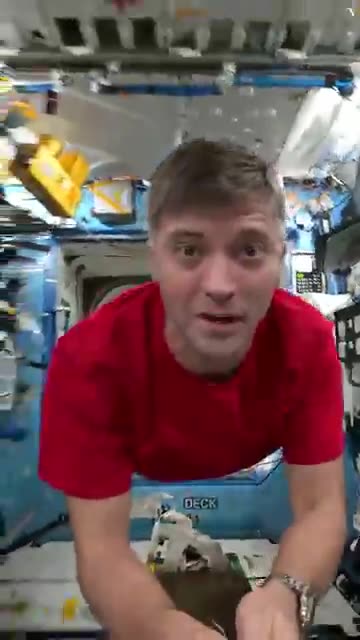 Real or green screen?