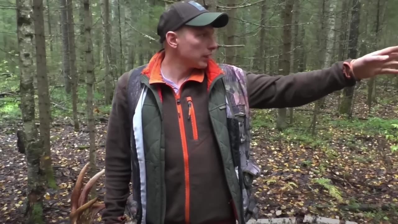 6 Chilling Animal Attacks That Shocked Alaska to Its Core