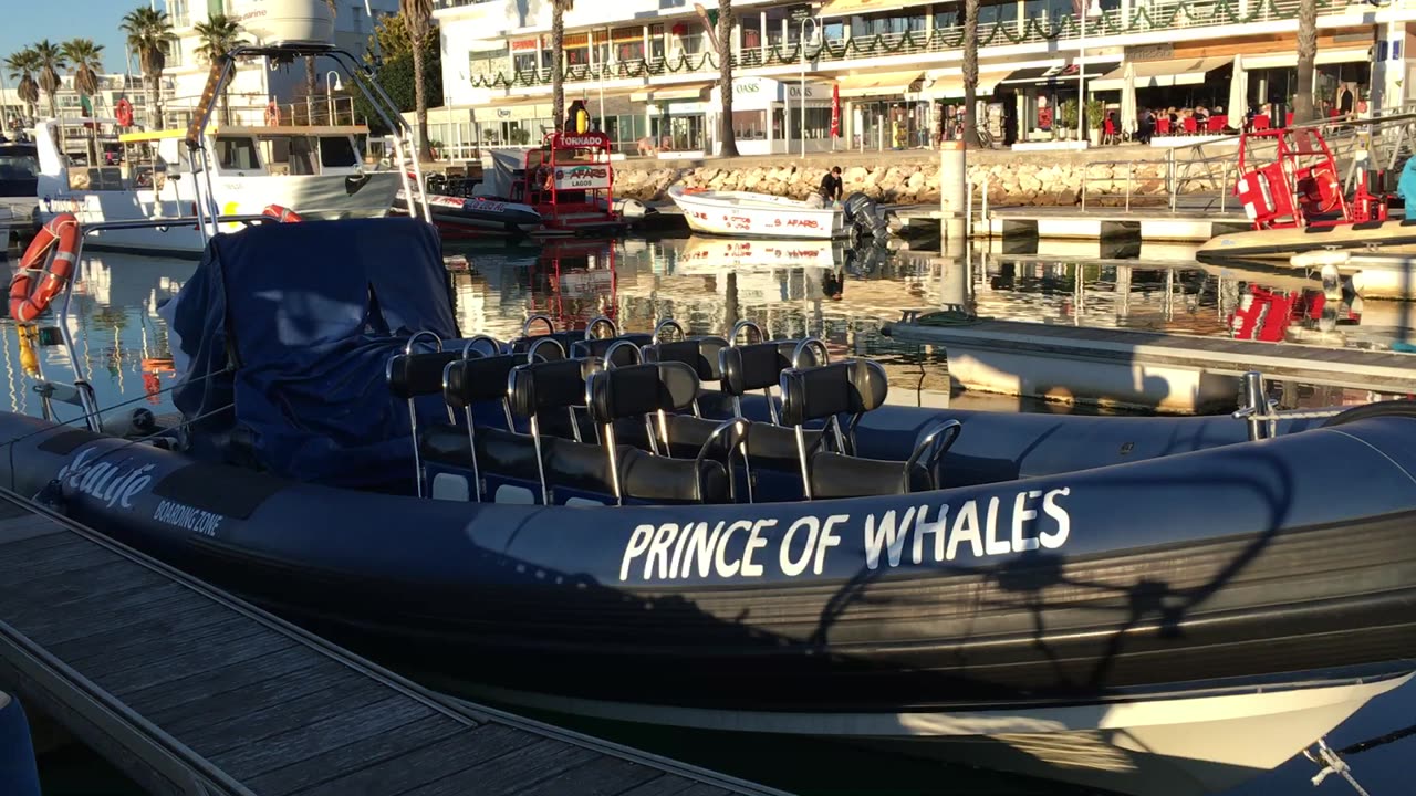 Boat Tour @ Point of Piety (Lagos, Algarve, Portugal) 30