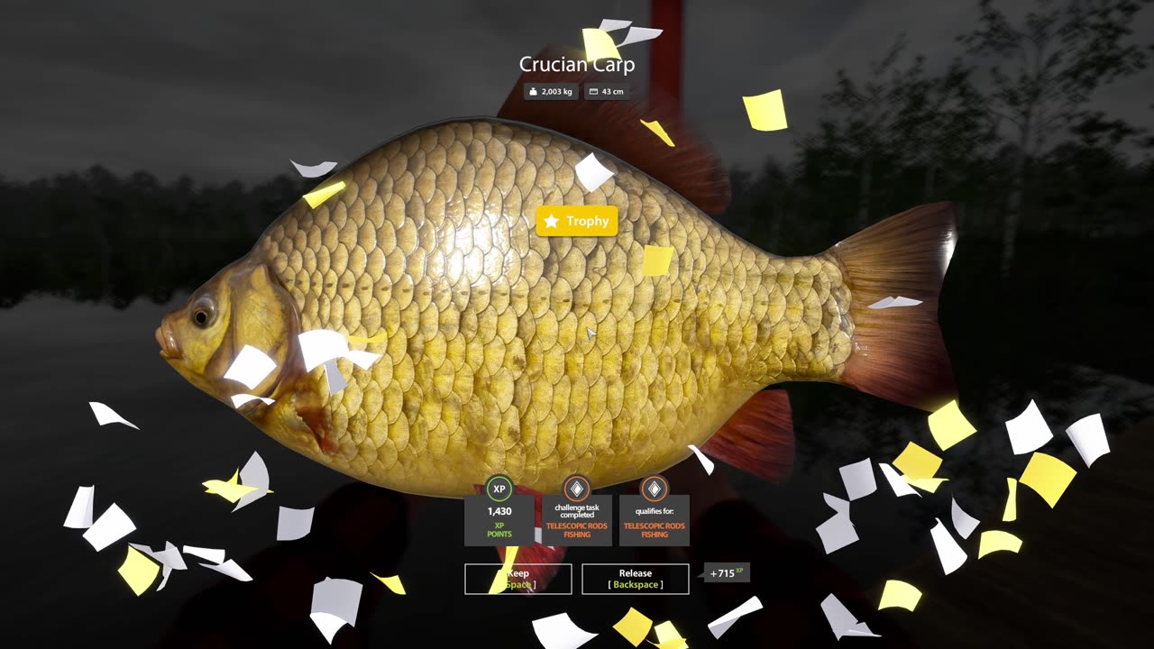 Russian Fishing 4 | Trophy Crucian Carp at Old Burg Lake