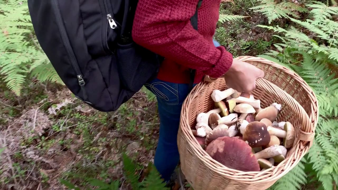 The Easy Way to Find RARE Gems in the US Without Breaking the Bank๐๐#USGemLocations