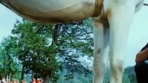 Kabhi Bhula Bhabi Yaad Kiya(Indian Movie Song)