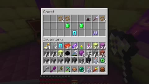 Epic Shulker Shell Hunt! Unlocking the Idiot Box