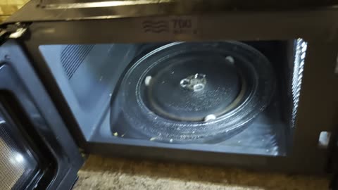 Professor Poopsquatch (January 2025)