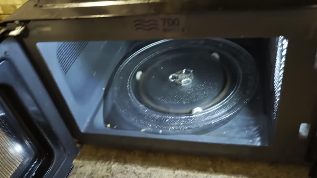 Professor Poopsquatch (January 2025)