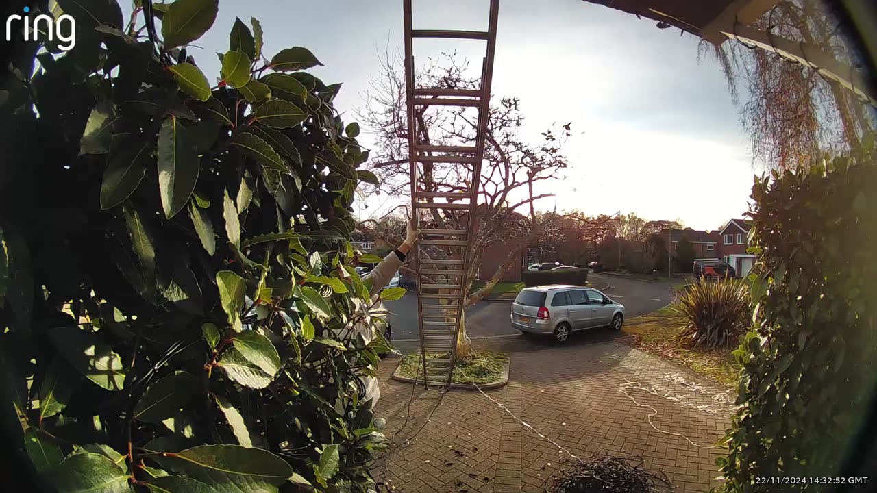 Man Falls From Ladder While Hanging Christmas Lights