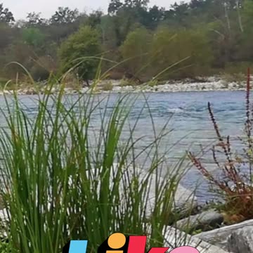 😊 184 MANIFESTACIÓN DE MILAGROS DIVINOS Mateo 17:20 😊