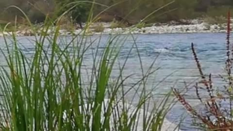 😊 184 MANIFESTACIÓN DE MILAGROS DIVINOS Mateo 17:20 😊