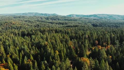 Bring.Your.Own.Brigade