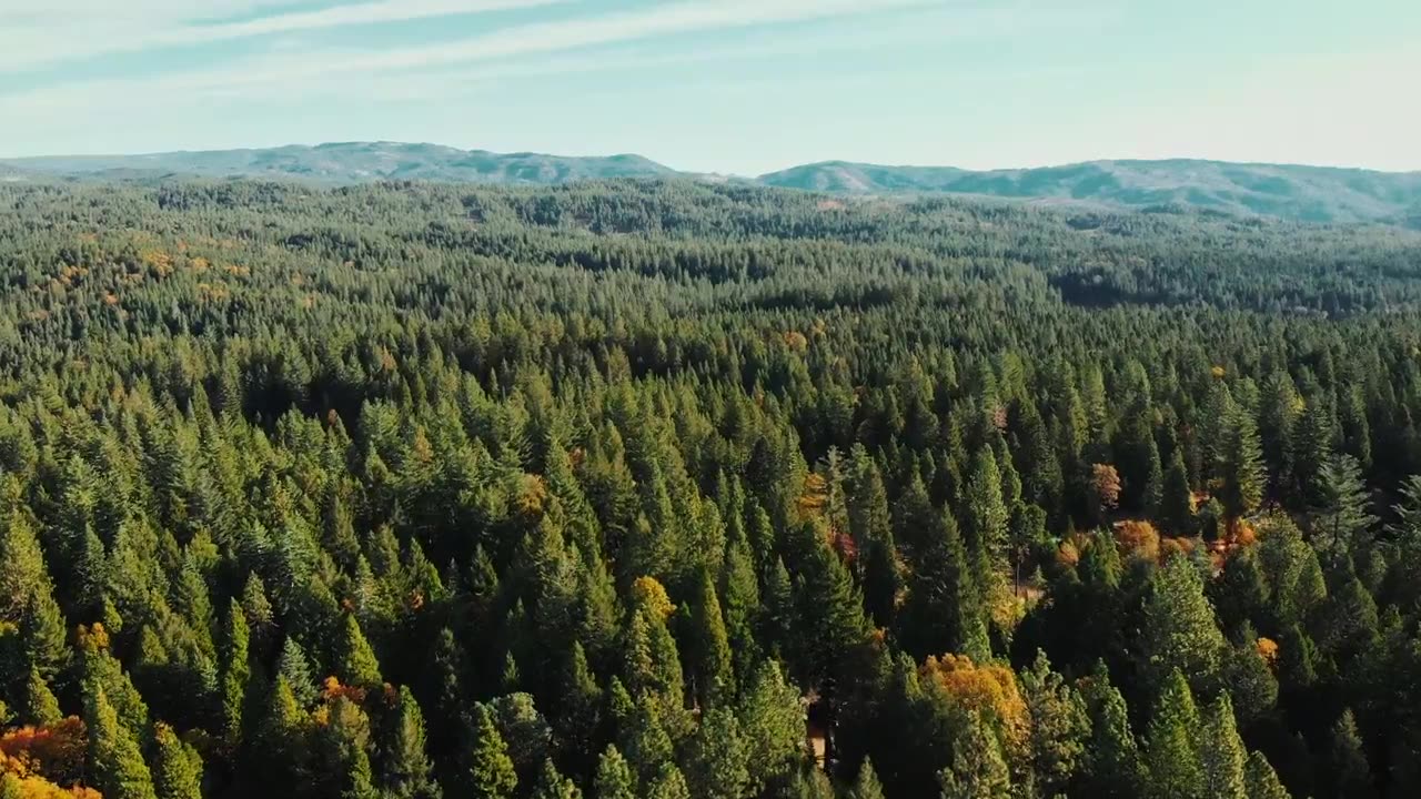 Bring.Your.Own.Brigade