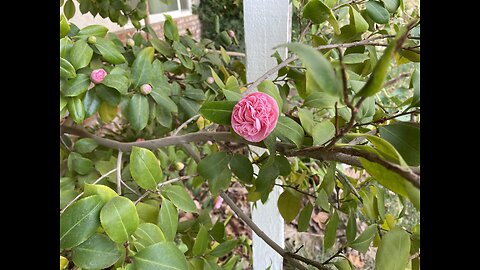 Just Another Mundane Monday