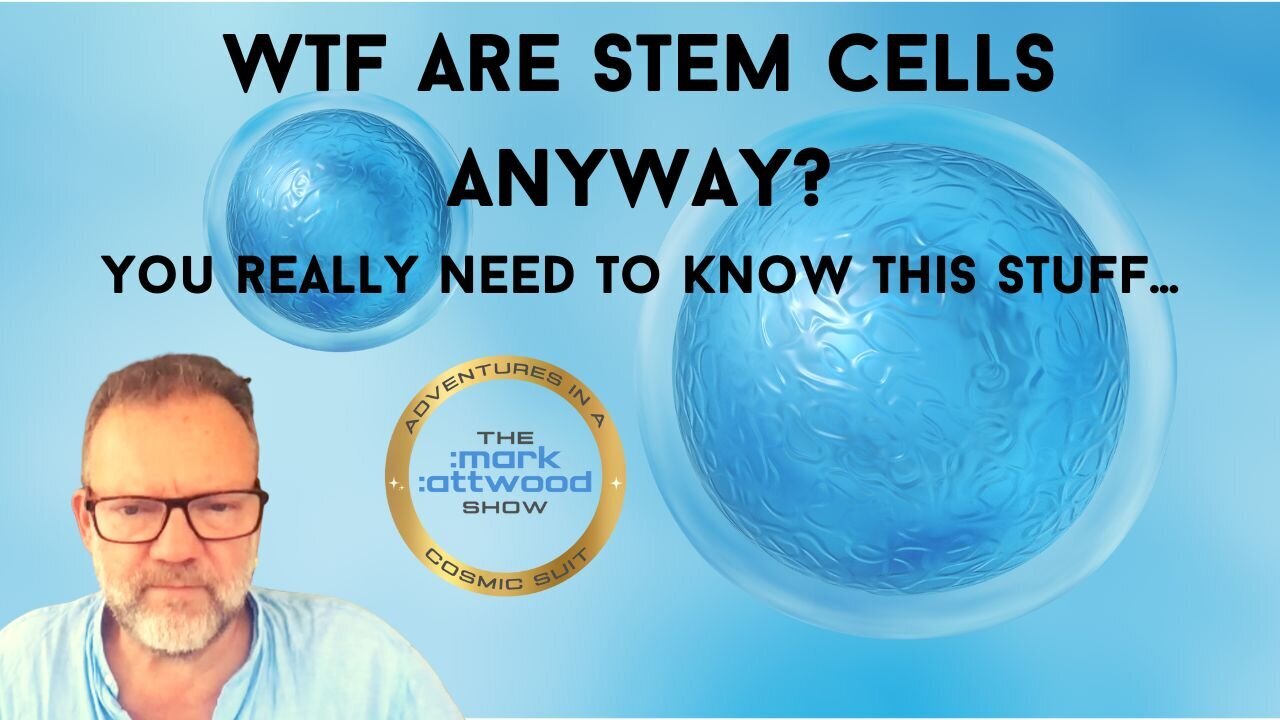 WTF are Stem Cells Anyway? You really need to know this stuff.