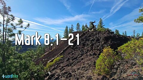 Mark 8:1-21, Bible Reading in Nature, BSB