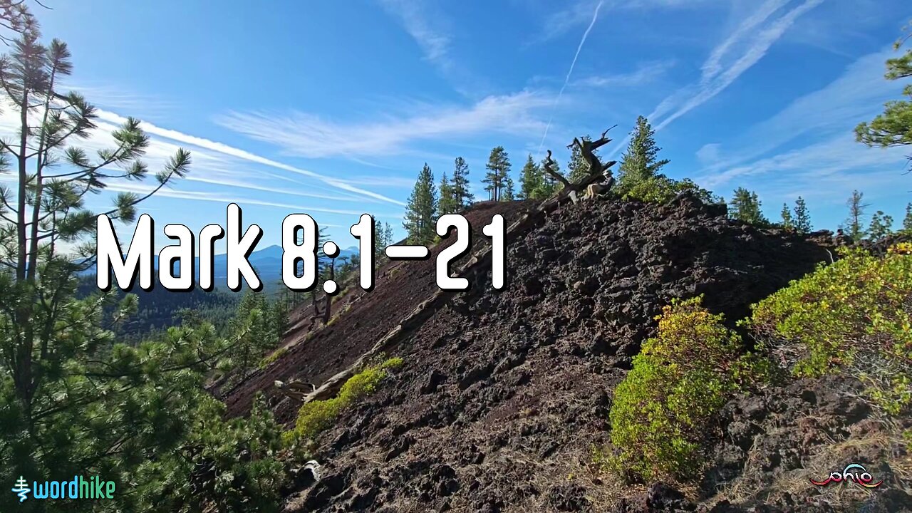 Mark 8:1-21, Bible Reading in Nature, BSB