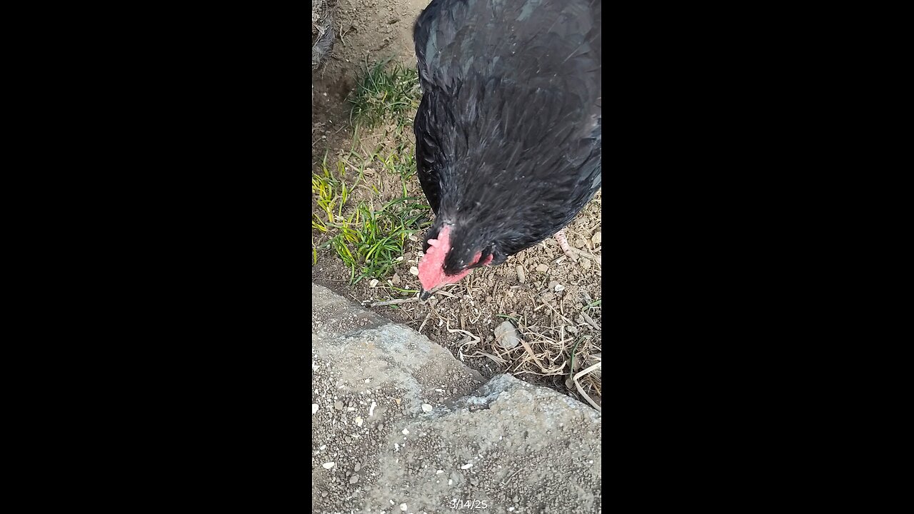 A little snack!