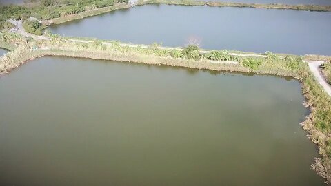 lake